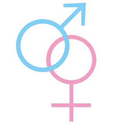 Von ökonomisch eher blöd – Frau – Mann – Frag den&nbsp;Wotsefak